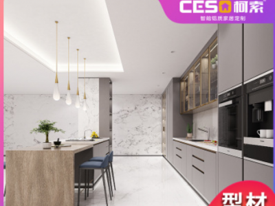 廠家直銷 鋁合金家具鋁材 全鋁衣柜型材整體櫥柜全鋁家居鋁材批發(fā)