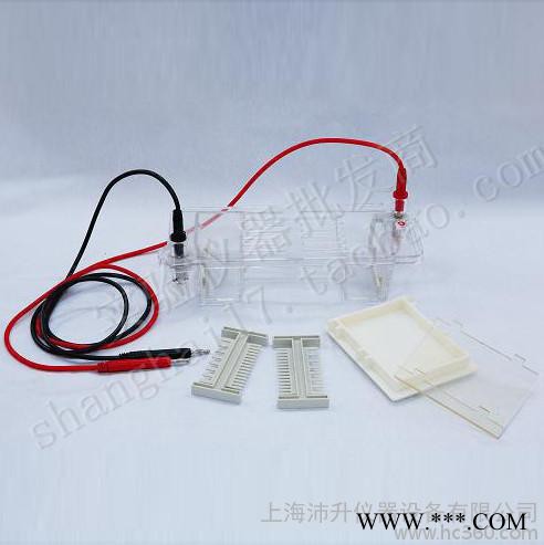 北京六一DYCP-31CN瓊脂糖水平電泳儀小號(hào)注塑