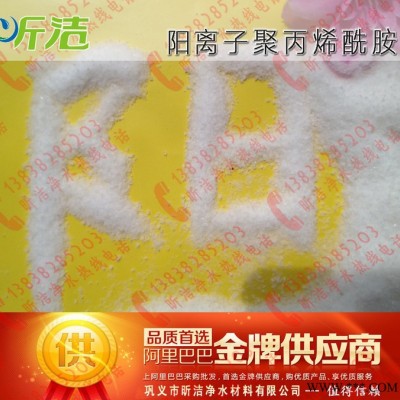 專業(yè)水處理藥劑生產廠家 高效 環(huán)保 用量少 污水凈水劑 陽離子型聚丙烯酰胺 CPAM凝膠電泳
