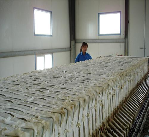 高溫氧化鋁粉 氧化鋁拋光粉 活性氧化鋁干燥劑